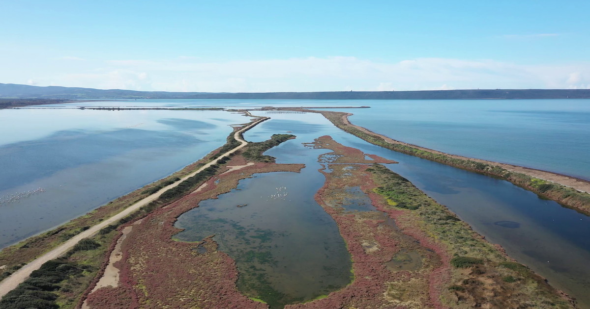 Zone umide a rischio, è allarme sulla biodiversità