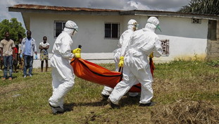 Congo, salgono a 80 i morti per Ebola. L'epidemia ora si allarga all'Uganda
