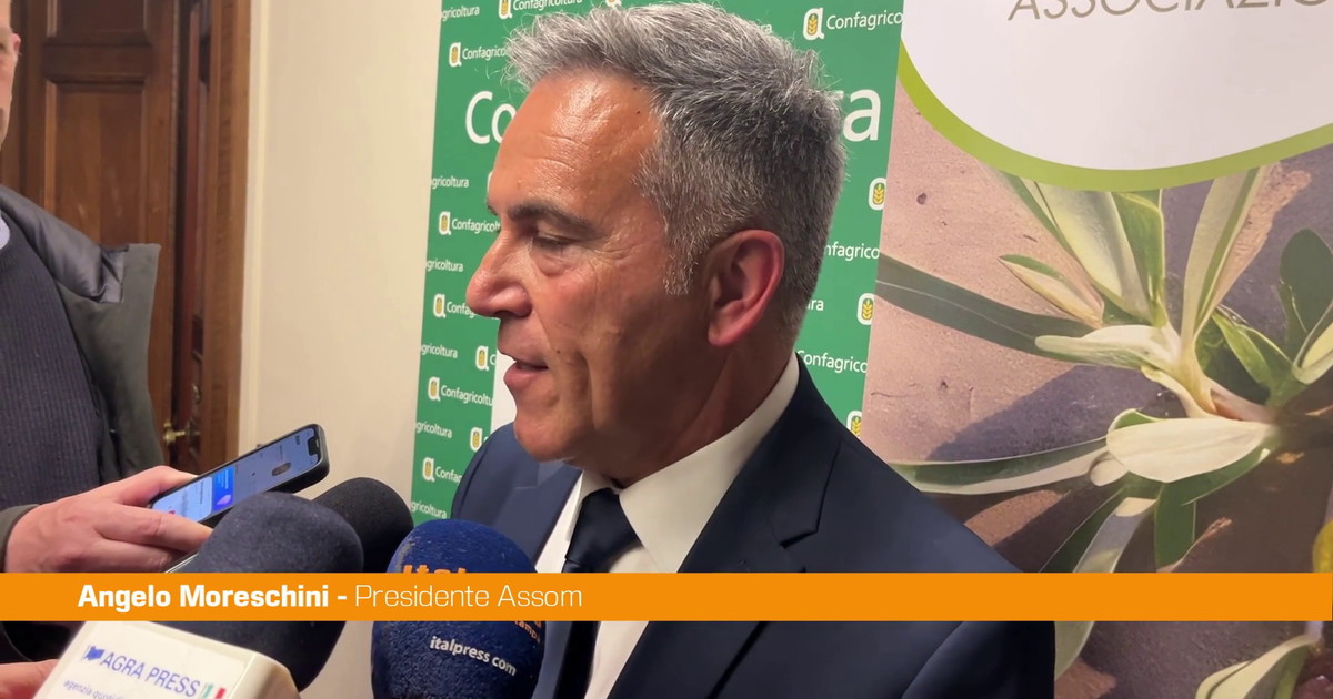 Moreschini "Con Efoi risultato storico per il comparto olive da tavola"