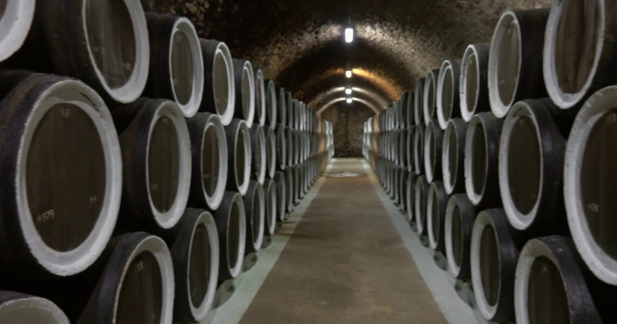 Vino, export mondiale da record ma pesano i dazi Usa
