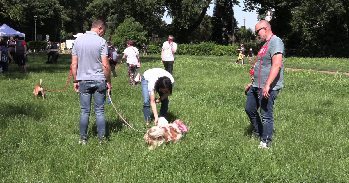 Dog Lovers Day, a Roma e Milano focus sulla prevenzione veterinaria
