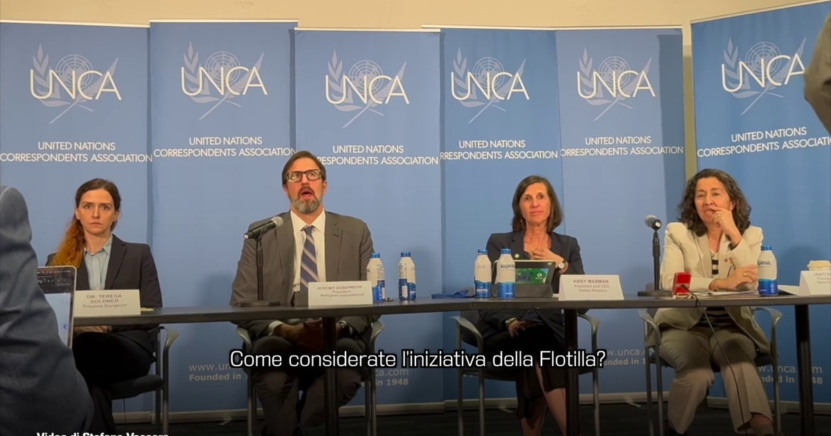 ONG all'Onu 