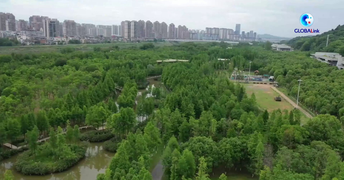 Cina, alla scoperta del modello di ripristino ecologico nel Jiangxi