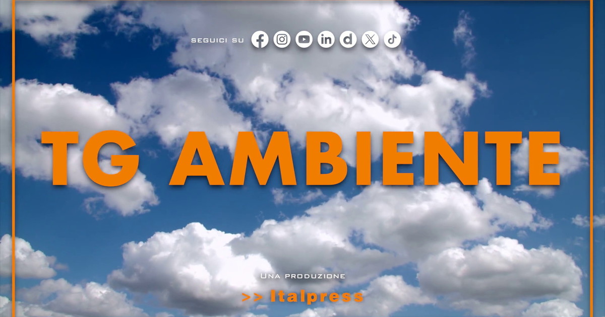 Tg Ambiente - 24/5/2026