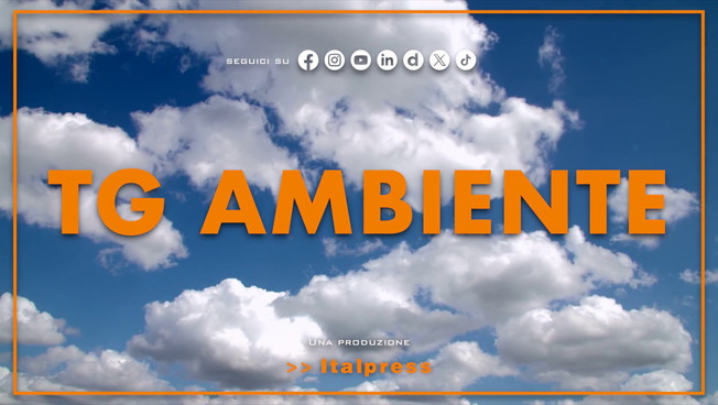 Tg Ambiente - 24/5/2026