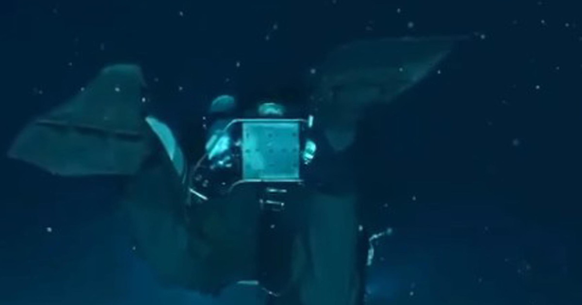 Maldive, al Tg1 le immagini esclusive della grotta fatale