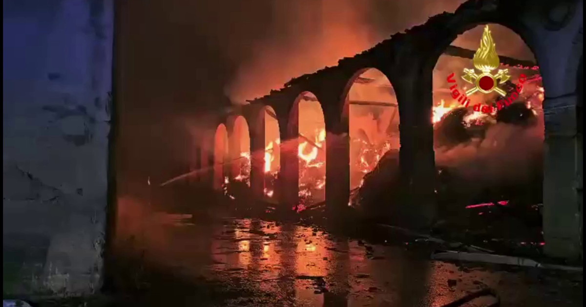 Nel Milanese scoppia un incendio a causa del maltempo, salvate 510 mucche