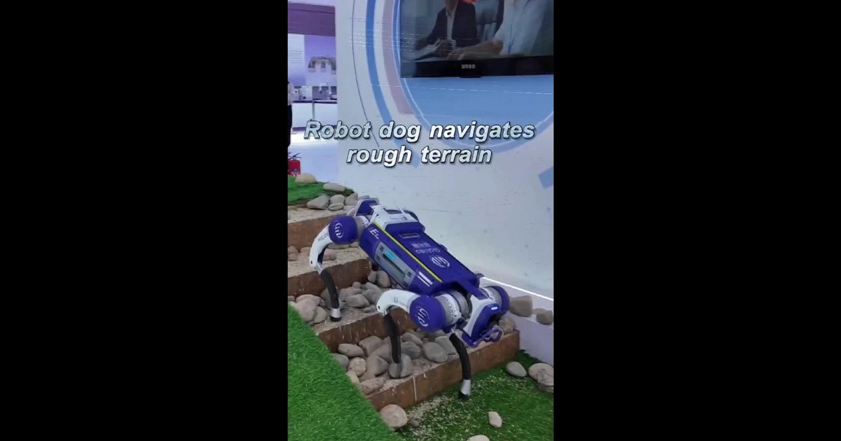 Cina, cane robot supera terreni accidentati alla World Intelligence Expo