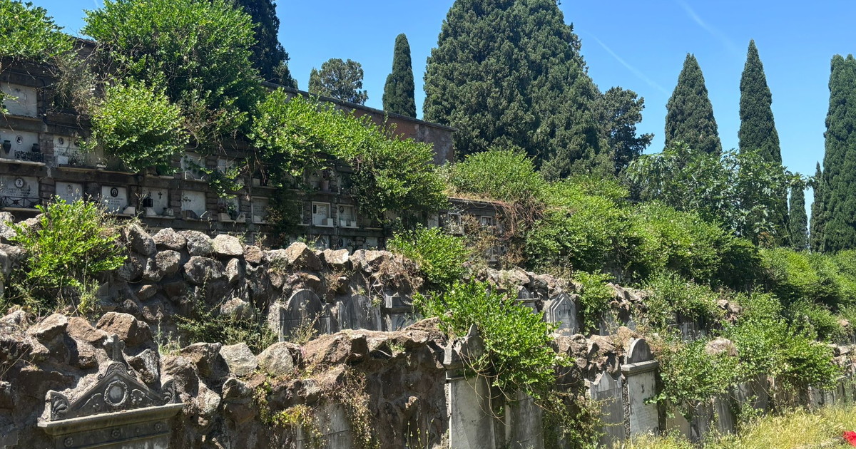 loculi inghiottiti dal verde infiltrazioni e bagni fuori uso i romani nessun rispetto per i morti da Iltempo.it loculi inghiottiti dal verde infiltrazioni e bagni fuori uso i romani nessun rispetto per i morti