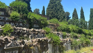 Loculi inghiottiti dal verde, infiltrazioni e bagni fuori uso. I romani: Nessun rispetto per i morti