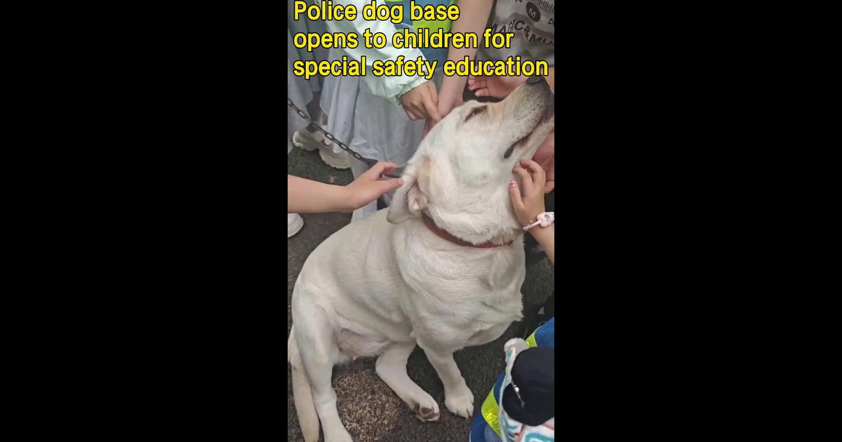 Cina, base di cani poliziotto accoglie bambini per educazione alla sicurezza