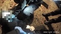 Il video choc del caso Nowak: esplode "White lives matter". Cosa &egrave; successo