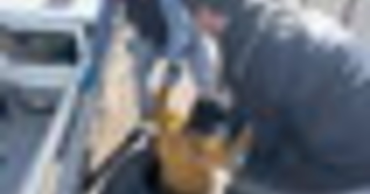 Polizia turca 