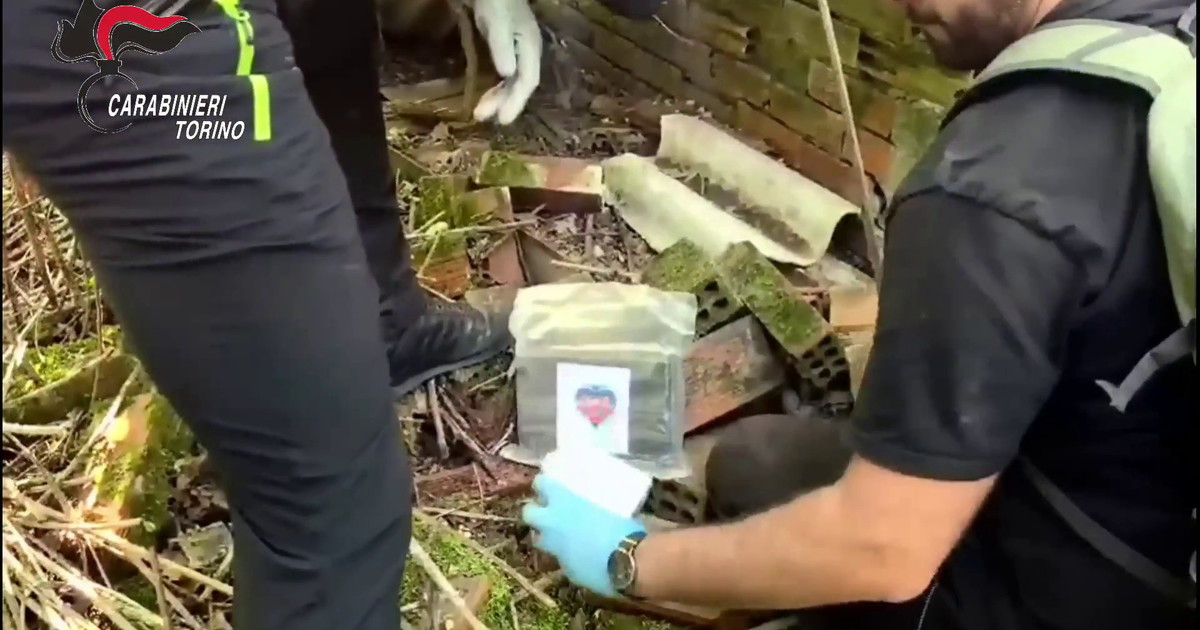 Maxi sequestro di armi e droga in un bosco nel Torinese, 2 arresti