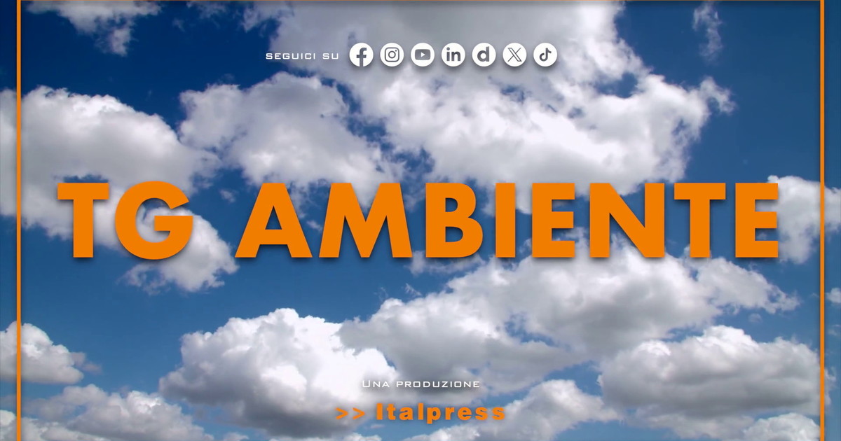 Tg Ambiente - 7/6/2026