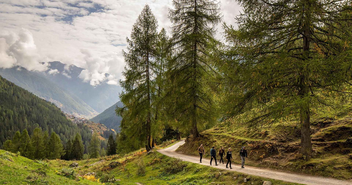 Estate nei parchi del Trentino: natura, avventura e sentieri