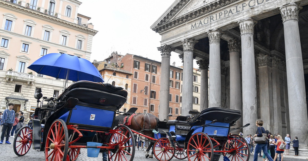 botticelle la verit224 dei vetturini ma quale addio non scende nessuno da Iltempo.it botticelle la verit224 dei vetturini ma quale addio non scende nessuno