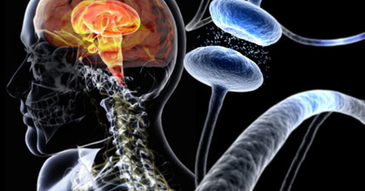 un pacemaker cerebrale che impara a camminare la nuova stimolazione che riduce le cadute nel parkinson da Iltempo.it un pacemaker cerebrale che impara a camminare la nuova stimolazione che riduce le cadute nel parkinson