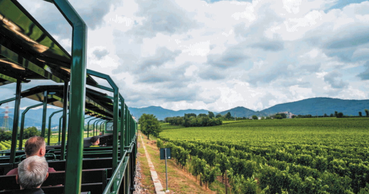il treno per scoprire la bellezza da Iltempo.it il treno per scoprire la bellezza