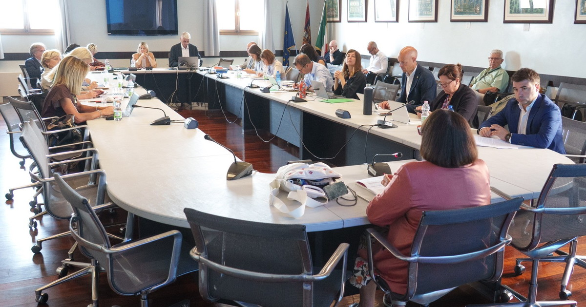comunicato stampa quinta commissione ascolta portatori di interesse su pdl per valorizzare figura caregiver familiare da Iltempo.it comunicato stampa quinta commissione ascolta portatori di interesse su pdl per valorizzare figura caregiver familiare