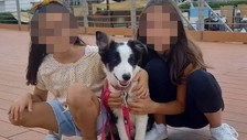 Sorelline ritrovate, ascoltati per 5 ore madre e compagno: non andranno in carcere