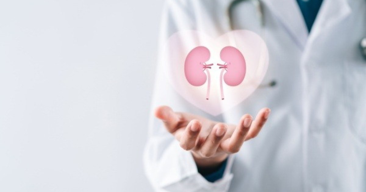 come mantenere i reni in salute prevenzione cura e dialisi a bologna da Iltempo.it come mantenere i reni in salute prevenzione cura e dialisi a bologna