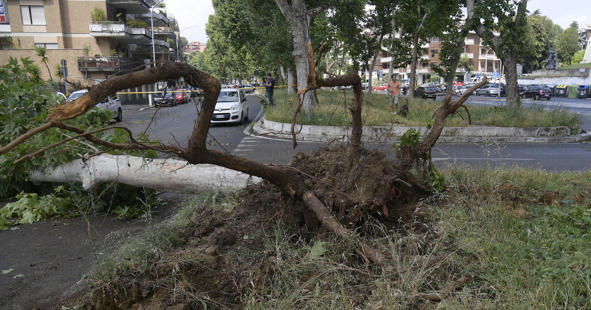 el ni241o sconvolge il clima globale allarme onu intensit224 mai vista e fenomeni estremi da Iltempo.it el ni241o sconvolge il clima globale allarme onu intensit224 mai vista e fenomeni estremi