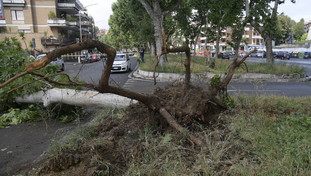 El Niño sconvolge il clima globale. Allarme Onu: intensità mai vista e fenomeni estremi