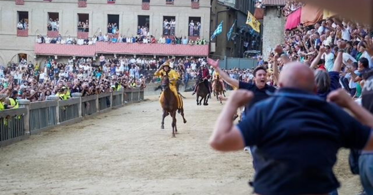 l aquila vince il palio dopo 34 anni da Iltempo.it l aquila vince il palio dopo 34 anni