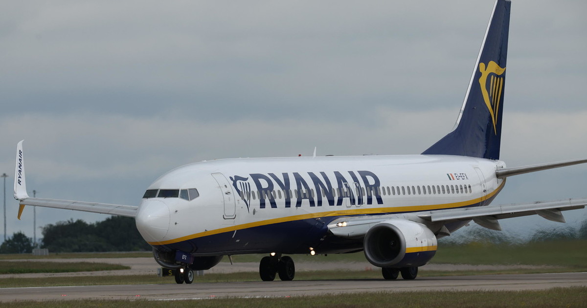 malpensa incubo zanzare a bordo del volo passeggeri costretti a cambiare aereo da Iltempo.it malpensa incubo zanzare a bordo del volo passeggeri costretti a cambiare aereo