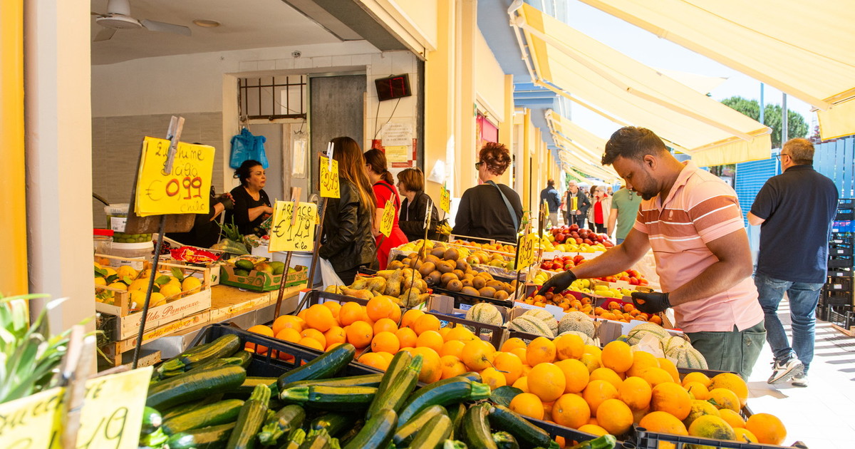 Roma sprecona: 700 tonnellate di cibo al giorno finiscono nella spazzatura