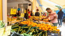Roma sprecona: 700 tonnellate di cibo al giorno finiscono nella spazzatura