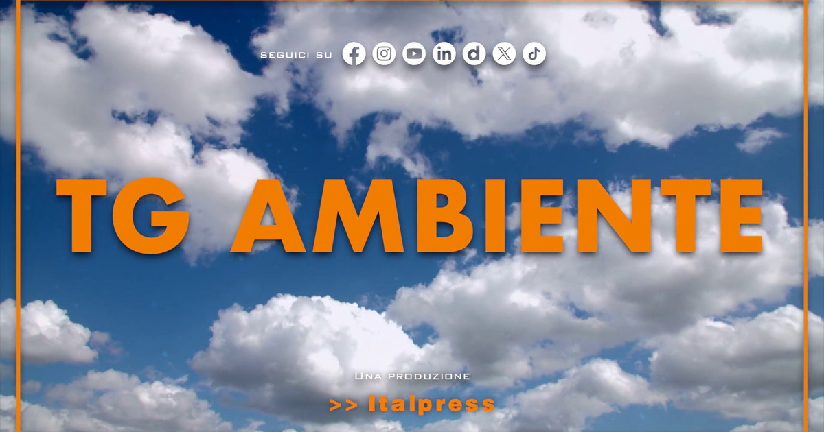 Tg Ambiente - 12/7/2026