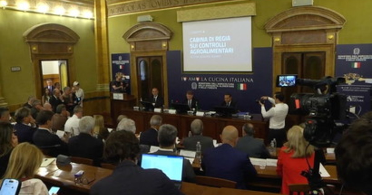 olio lollobrigida pi249 controlli contro le frodi e per tutelare il made in italy da Iltempo.it olio lollobrigida pi249 controlli contro le frodi e per tutelare il made in italy