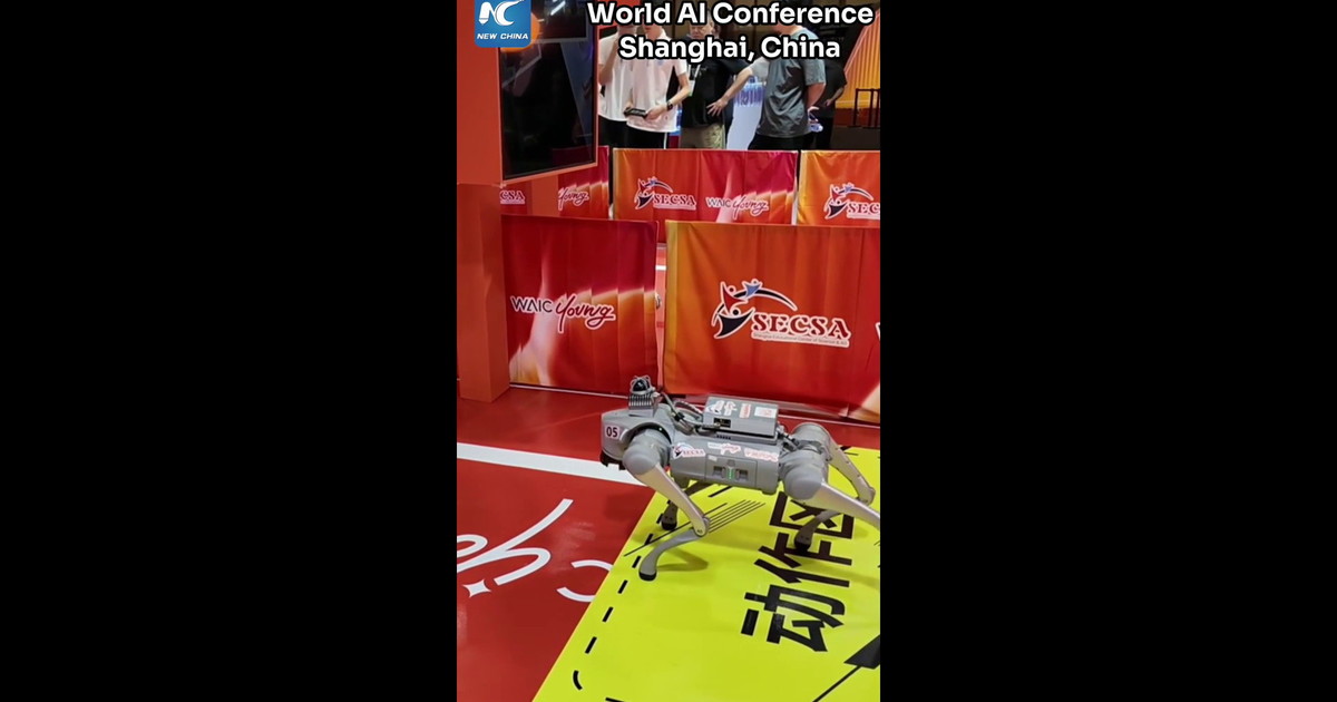 Cina: cani robot si sfidano in un percorso a ostacoli alla WAIC 2026