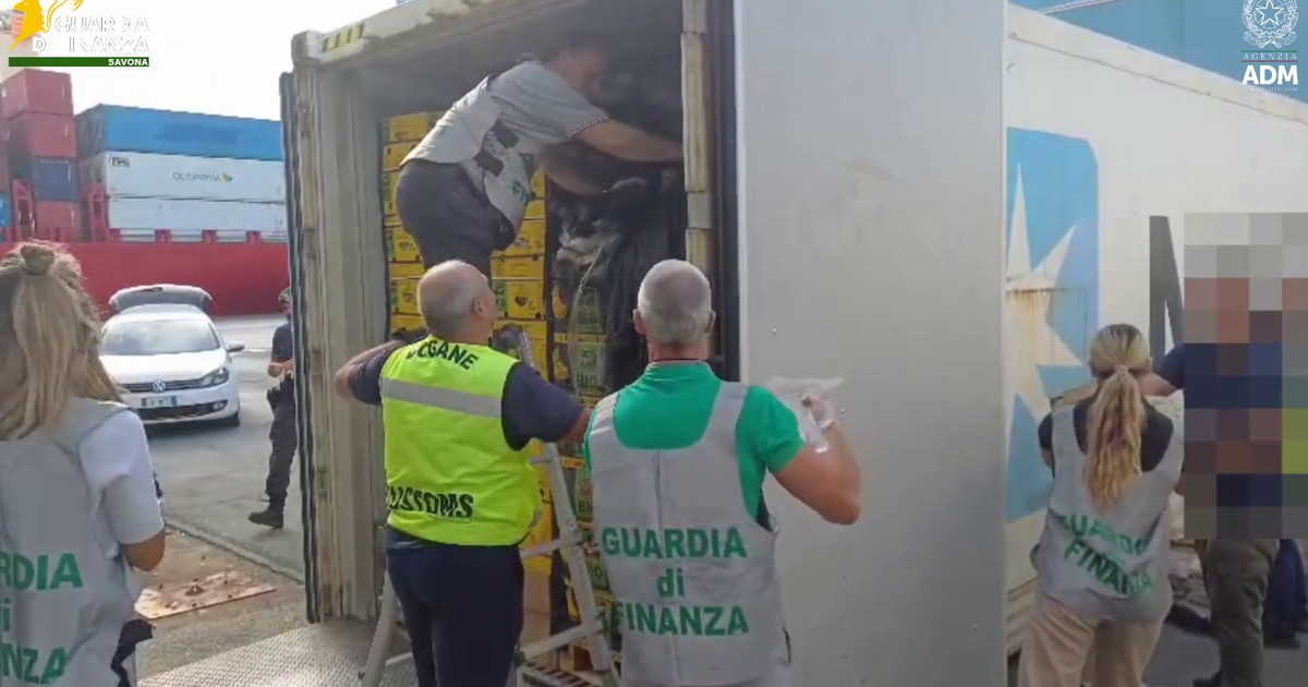 Porto marittimo con container, operazione antidroga, carico di frutta in controllo doganale, immagine di approfondimento