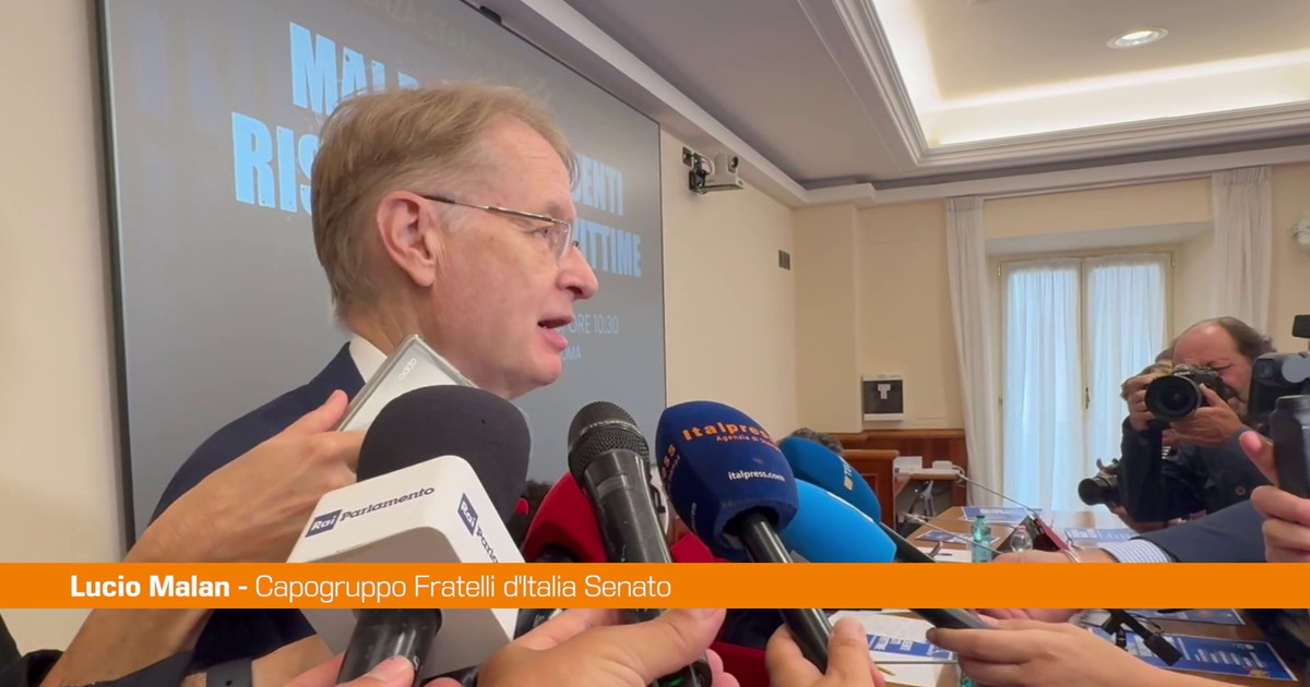 Sicurezza, Malan "No ai risarcimenti ai delinquenti, questione di buonsenso"