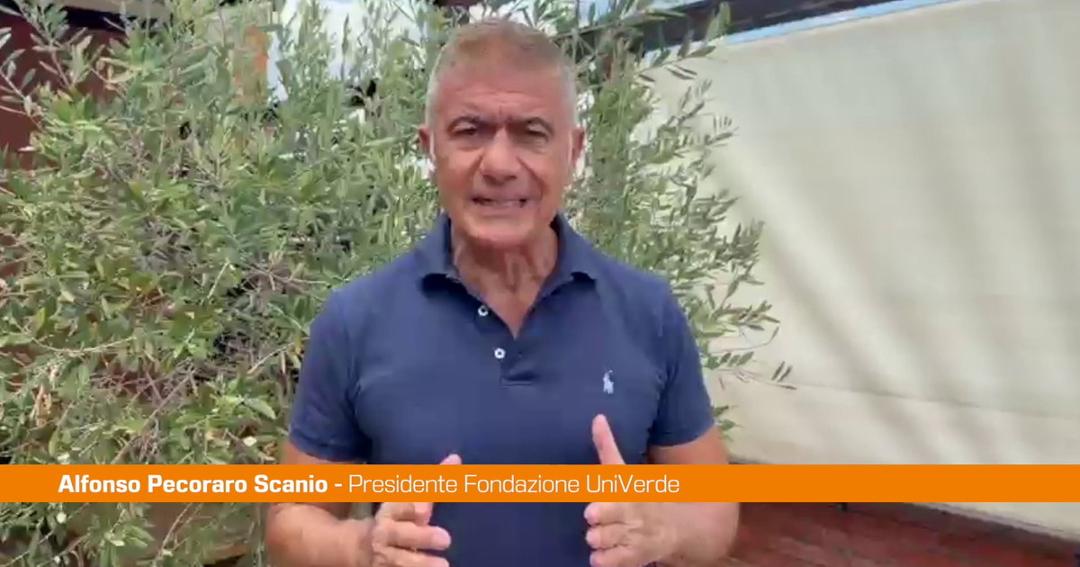 Pecoraro Scanio "Arrestare incendiari e sostenere sindaci e agricoltori"