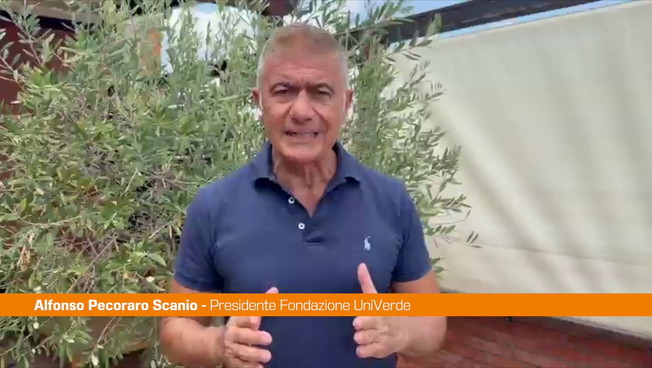 Pecoraro Scanio 'Arrestare incendiari e sostenere sindaci e agricoltori'