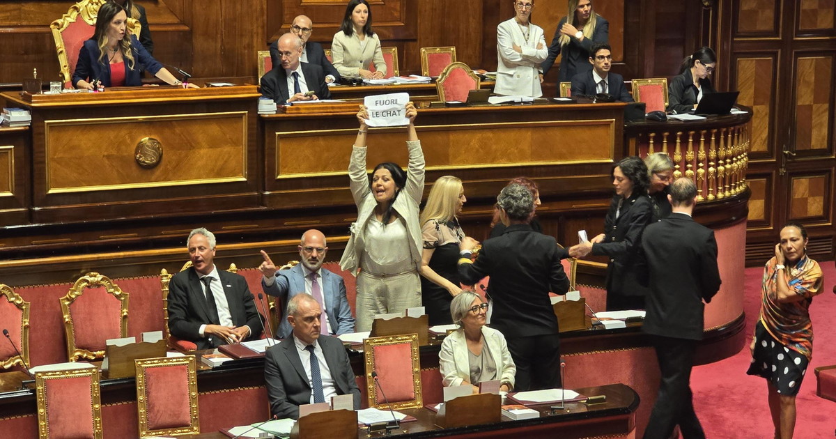 gazzarra dei 5 stelle occupano il senato tra urla spintoni e feriti da Iltempo.it gazzarra dei 5 stelle occupano il senato tra urla spintoni e feriti