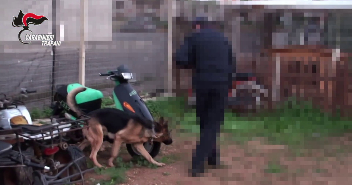 Mafia e droga nel trapanese, blitz con 12 arresti