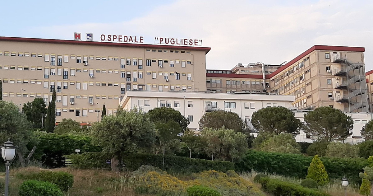 bimbo di 18 mesi muore in ospedale ricoverati altri 4 ipotesi batterio all asilo da Iltempo.it bimbo di 18 mesi muore in ospedale ricoverati altri 4 ipotesi batterio all asilo