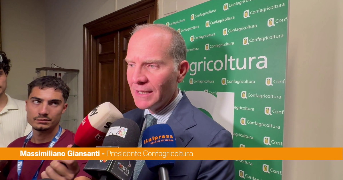 Agricoltura, Giansanti "Da crisi geopolitiche effetti sul sistema produttivo"