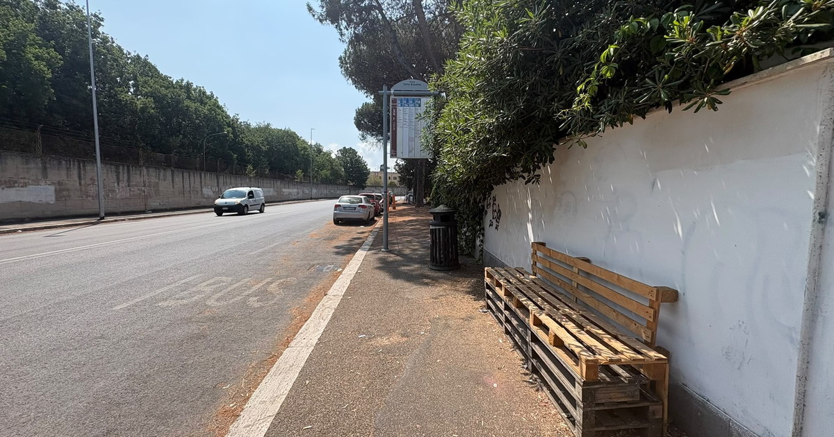 pensiline ancora un miraggio i bus si attendono in piedi e al caldo da Iltempo.it pensiline ancora un miraggio i bus si attendono in piedi e al caldo