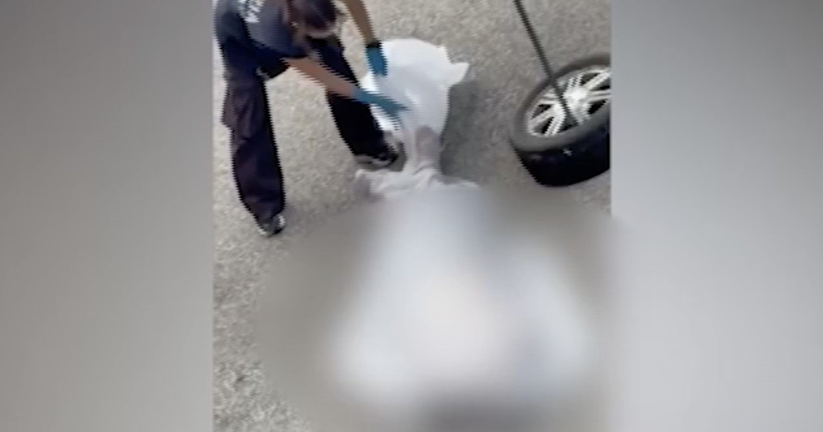 nuovo video su fakir il legale dei poliziotti il motivo della chiazza di sangue da Iltempo.it nuovo video su fakir il legale dei poliziotti il motivo della chiazza di sangue