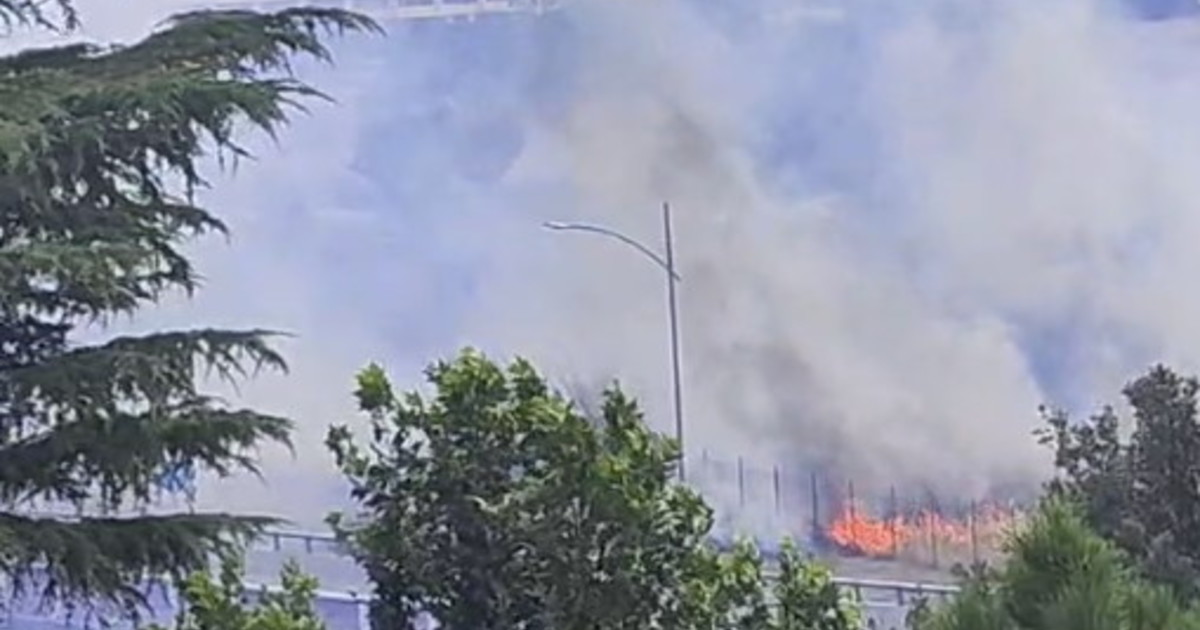 incendi paura sul tratto urbano dell a24 fiamme e fumo sulla careggiata da Iltempo.it incendi paura sul tratto urbano dell a24 fiamme e fumo sulla careggiata