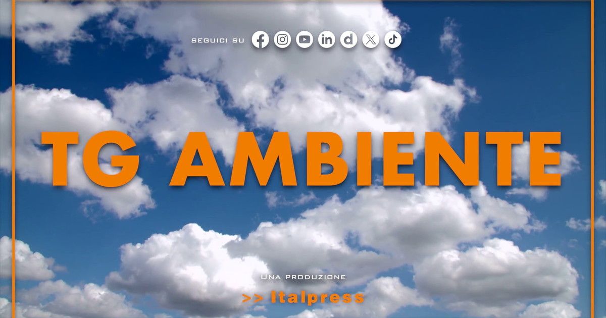 Tg Ambiente - 26/7/2026