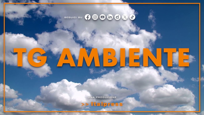 Tg Ambiente - 26/7/2026