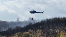 Il maxi-incendio sul Gargano è doloso: 150 ettari bruciati e fiamme ancora non spente