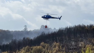 Il maxi-incendio sul Gargano è doloso: 150 ettari bruciati e fiamme ancora non spente